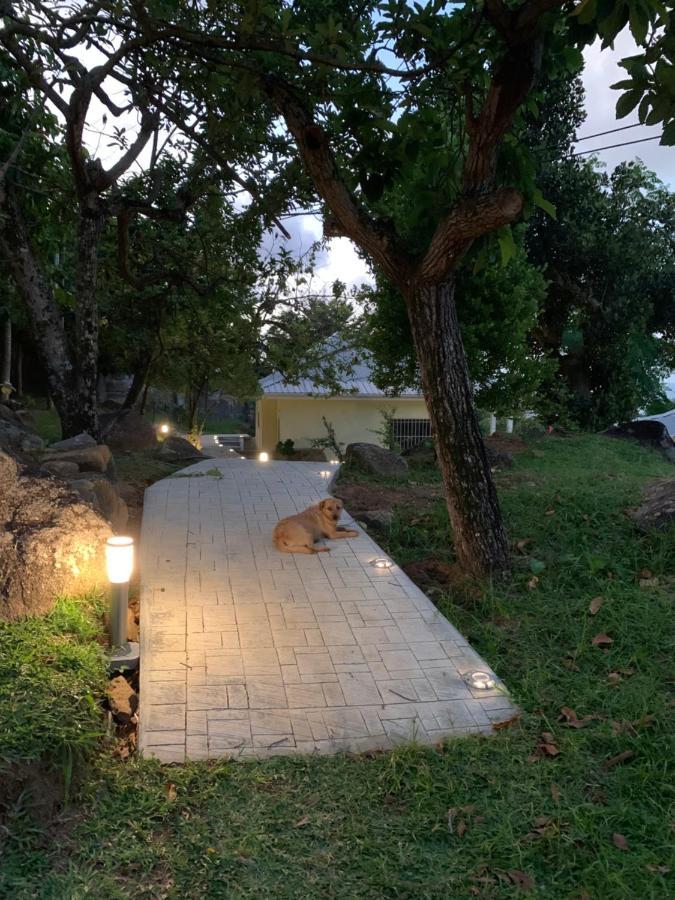 Naturalis - Oceanview Residences Misere Bagian luar foto